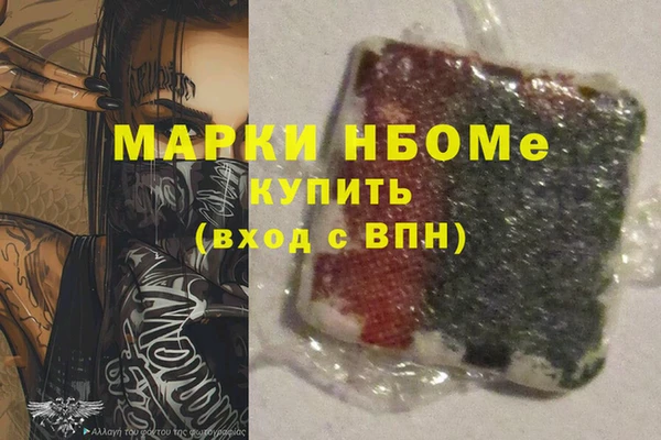 стафф Дубна