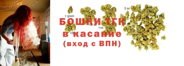 стафф Дубна