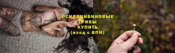 гашик Инта