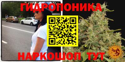 дмт Заволжье