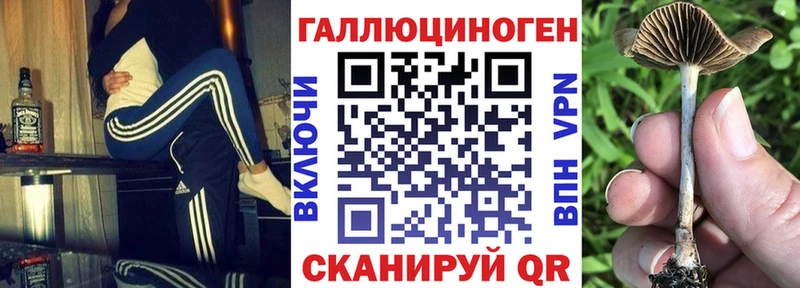 как найти   блэк спрут онион  Псилоцибиновые грибы мухоморы  Ипатово 