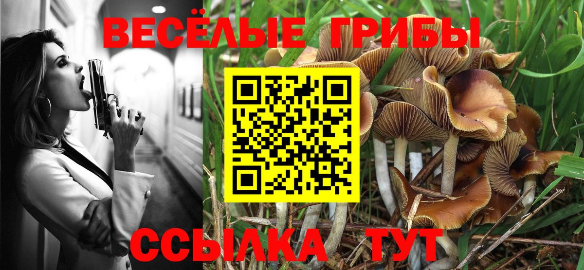 Галлюциногенные грибы мухоморы  Вход с VPN  где купить   Ипатово 